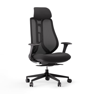 Ergonomisks krēsls OmniSit Pro