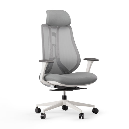 Ergonomisks krēsls OmniSit Pro