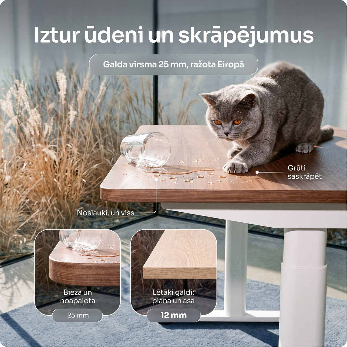 Regulējama augstuma galds OmniPRO 2.0