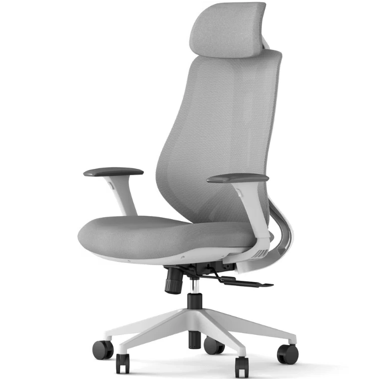 Ergonix OmniSit Pro ergonomic chair