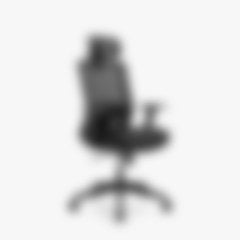 Cits ergonomisks krēsls (aizmiglots)
